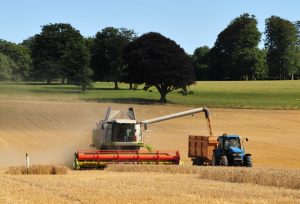 Combine harvester alongside a tractor and filling the trailer