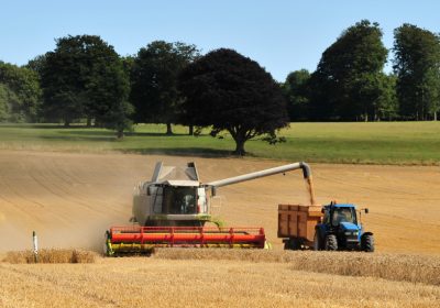 Combine harvester alongside a tractor and filling the trailer
