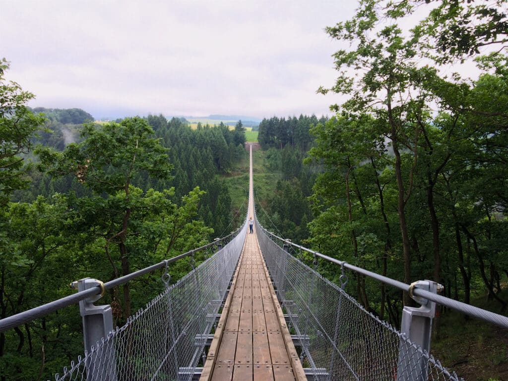Geierlay suspension bridge
