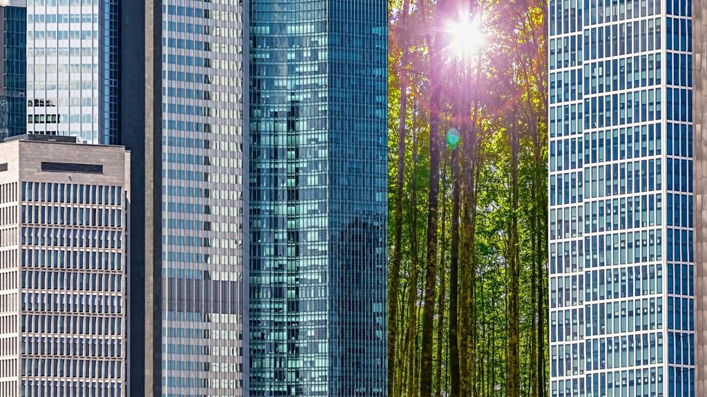 Grüner Lichtblick zwischen Hochhäusern als Metapher für "Offenlegungsverordnung EU 2019/2088"