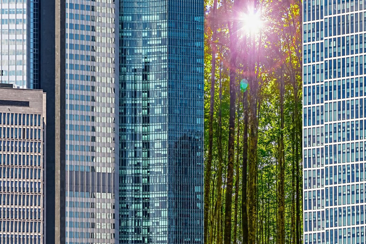 Grüner Lichtblick zwischen Hochhäusern als Metapher für "Offenlegungsverordnung EU 2019/2088"