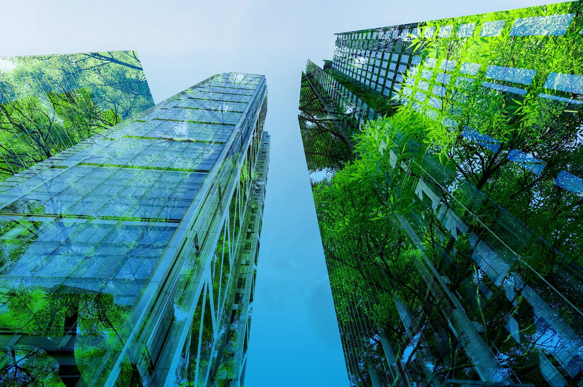 Hochhäuser, die von grünen Bäumen bewachsen sind als Sinnbild für: ESG-Transformation auf Erfolgskurs