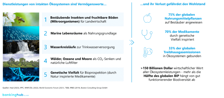 Fünf zentrale Ökosystemleistungen nach Heal (2023)