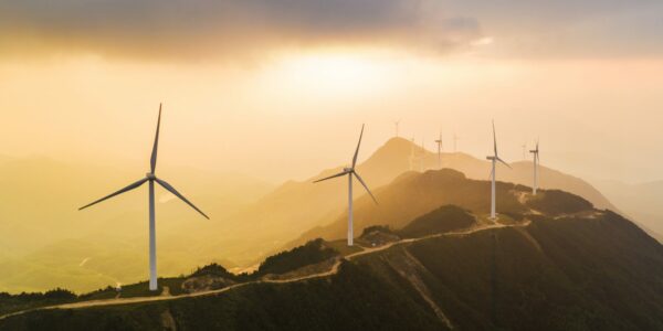 Windfarm als Metapher für den Artikel zur Thematik "Wieso nehmen ESG-Investitionen zu?"